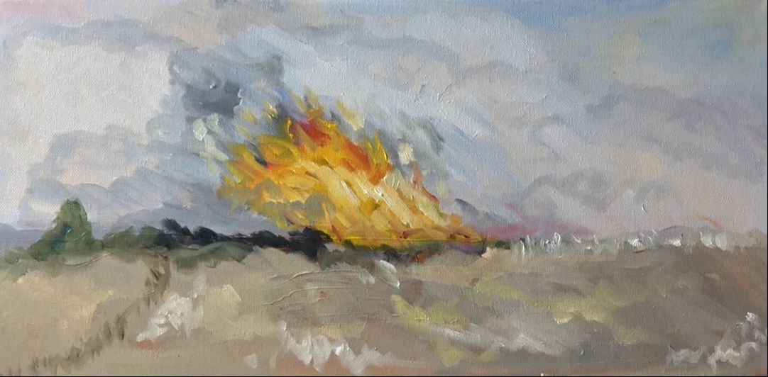 Brushfire 1, 2017, J de Mello e Souza